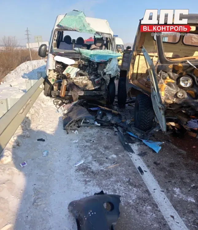 Восемь человек пострадали в ДТП с рейсовым автобусом на въезде в Свободный