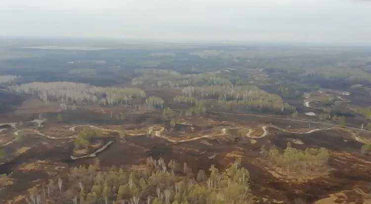 На севере Амурской области дополнительно от огня будут охранять 1,2 млн гектаров леса