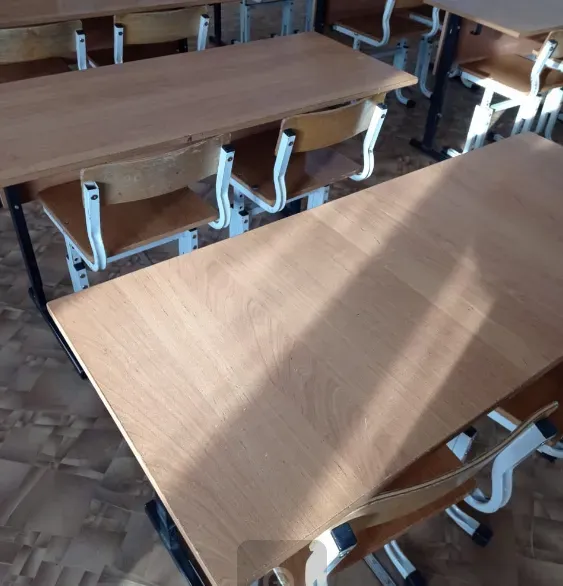 Амурские школьники продолжают учиться по особому режиму из-за холодов