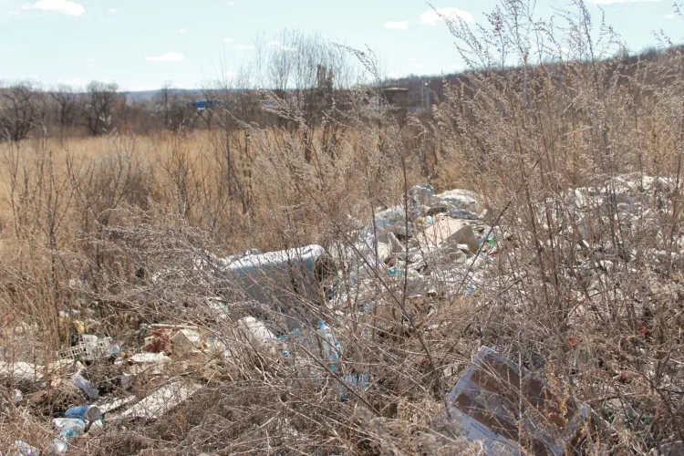 Василий Орлов высказался о ситуации со сжиганием удобрений около Завитинска