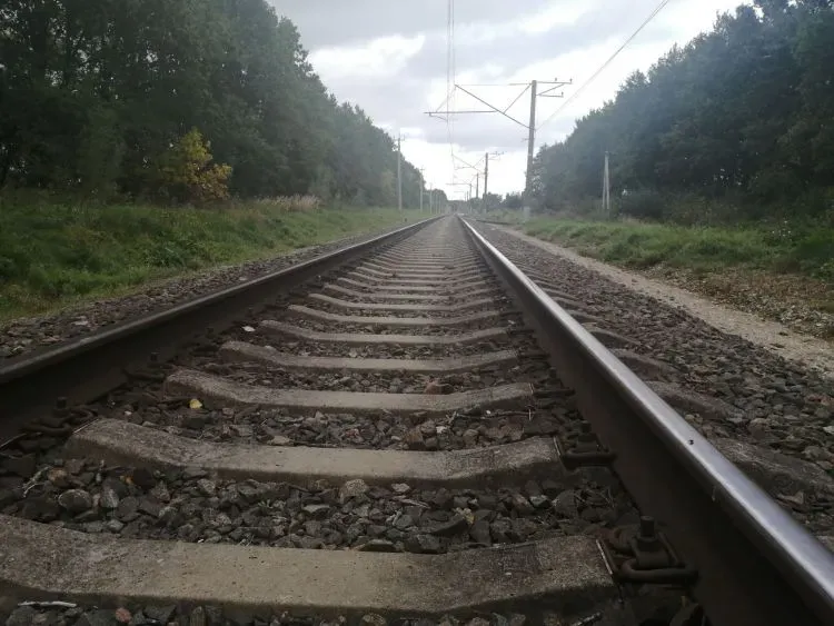 Житель ЕАО, находившийся в розыске, задержан амурскими полицейскими в поезде