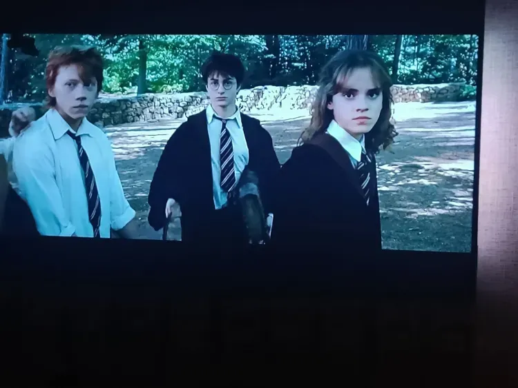 Фильмы о Гарри Поттере пропадут из российских онлайн-кинотеатров с 1 февраля