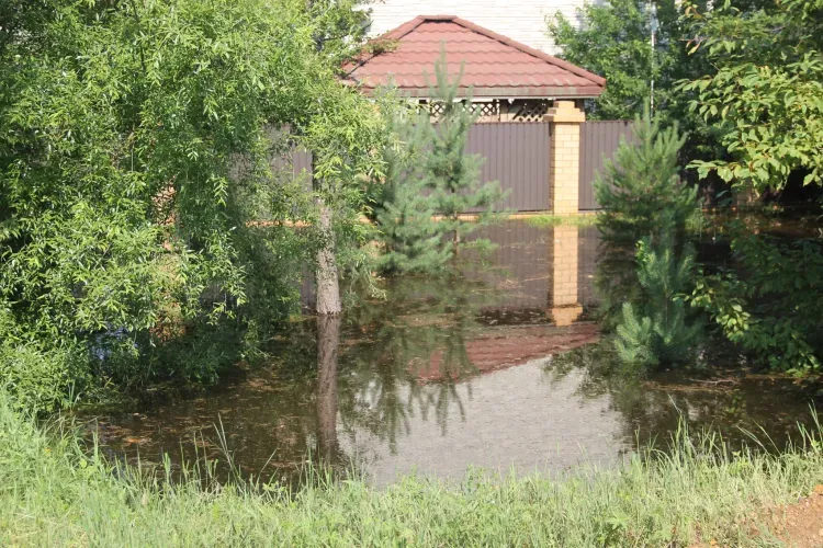 Губернатор Амурской области предложил расселять территории из зон затопления