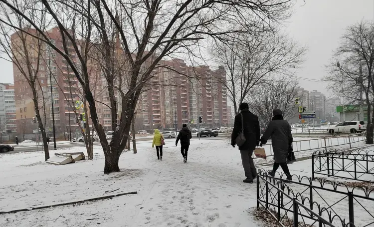 Днем в Амурской области 10 февраля по югу и местами по северу небольшой снег