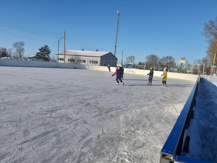День зимних видов спорта в России отмечается 11 февраля
