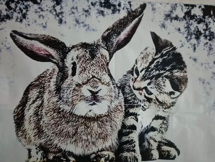 Буддийские монахи пророчат в 2023 году стабилизацию и всевозможные соединения