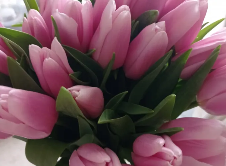 Поднимать цены на цветы 8 марта хотят запретить в России