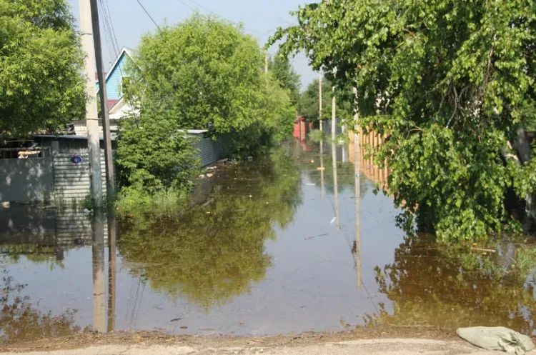 Точные места и масштабы наводнений в России сможет прогнозировать новая математическая модель