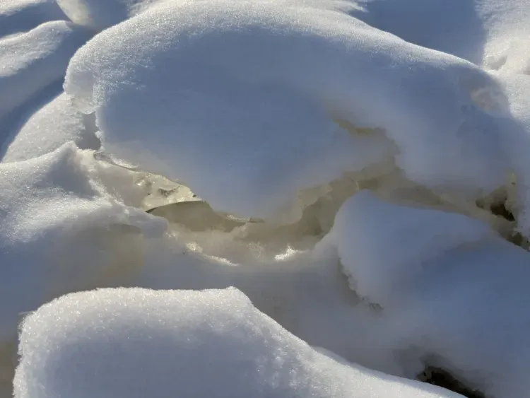 Льды Арктики на самом деле тают быстрее, чем думали ученые