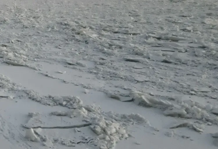 Аварийные бригады ликвидировали условный выход нефти на Амуре