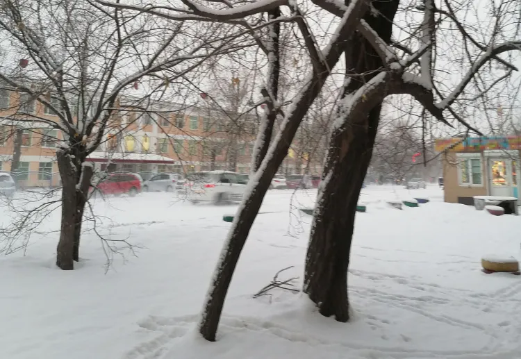 Снег и дождь с порывистым ветром ожидаются в Амурской области