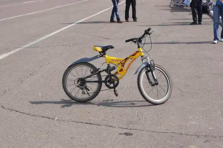 Выходные в Благовещенске пройдут активно и познавательно