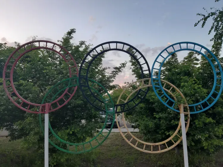 Спортом в Амурской области занимаются свыше 6,5 тыс. людей с инвалидностью