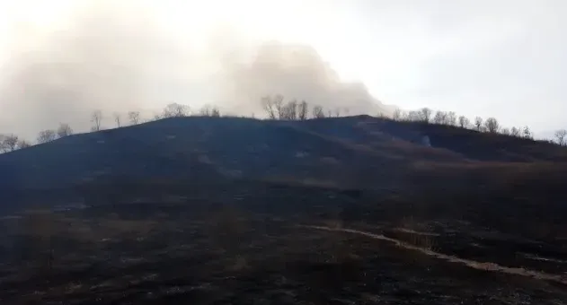 Пожар на сопке тушили в Благовещенском округе
