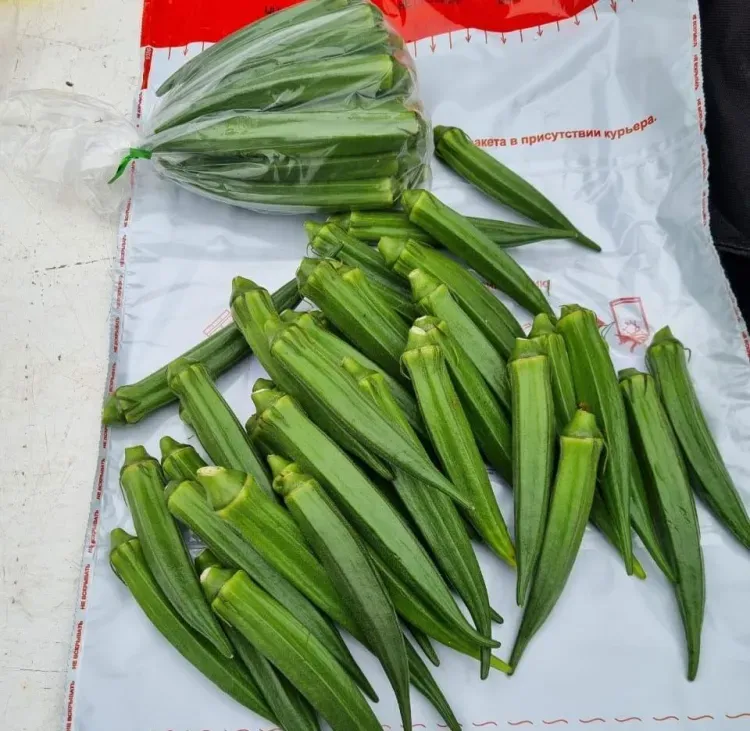 Экзотический овощ, похожий на перец, впервые завезли в Приамурье