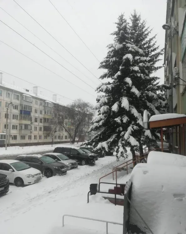 Апрель в Амурской области может завершиться осадками