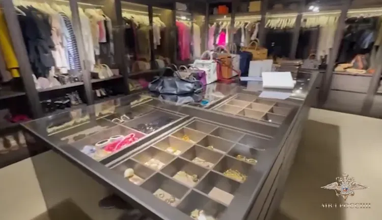 Видео обыска в гардеробе Блиновской показало МВД