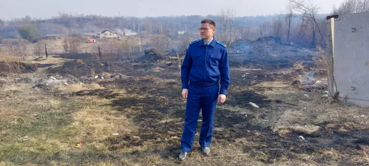 Пал дошел до поселка в Амурской области, сгорели нежилые дома