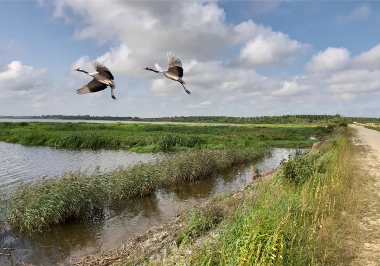 Марк Ключник: «На Марка небо ярко: бабам в избе жарко»