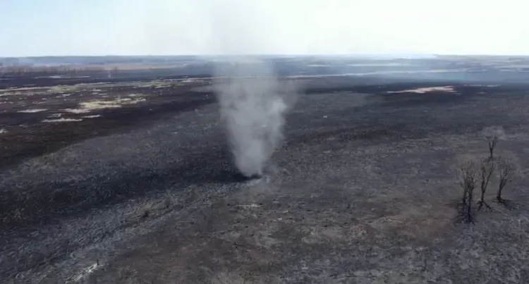 Долина реки, где обитают журавли и аисты, догорела в Амурской области