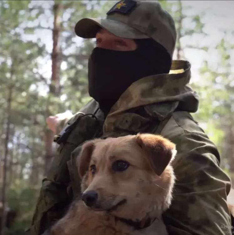 Собака помогает артиллеристам вычислять технику ВСУ 