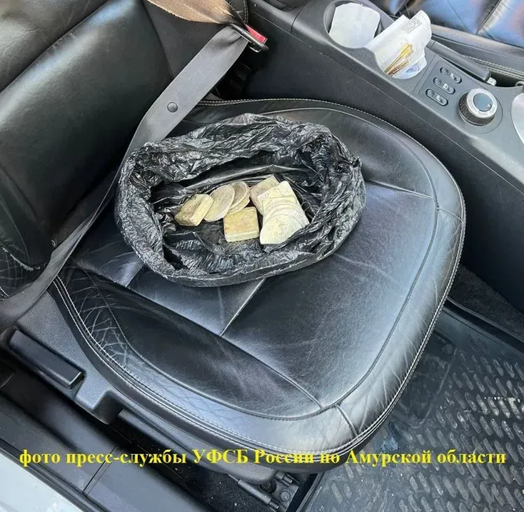 В Амурской области осудили продавца и покупателя 12 золотых слитков