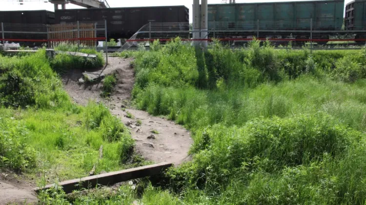 Сотрудники ЗабЖД пресекли движение пешеходов на станциях в несанкционированных местах