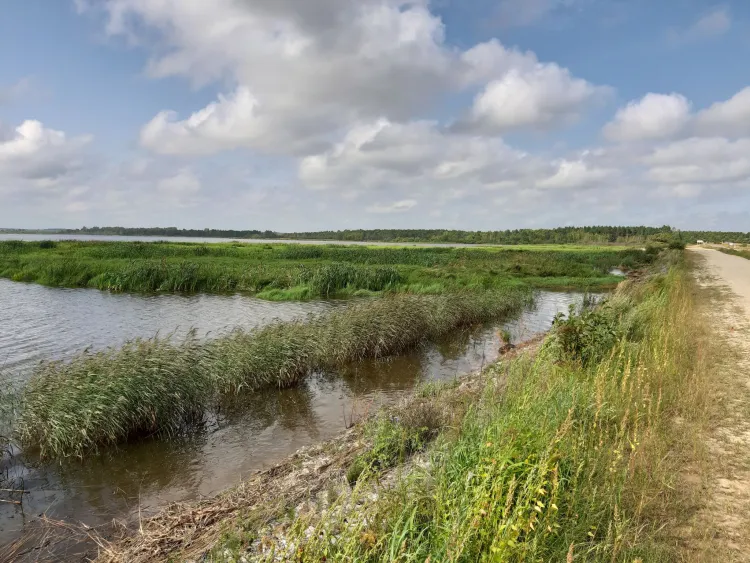 Федот Страж: «Святой Федот тепло дает - рожь в золото ведет»