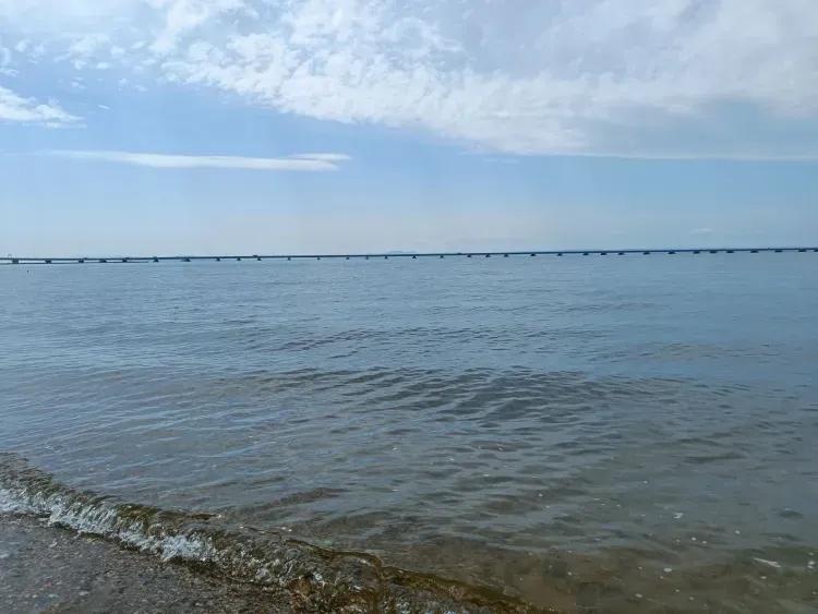 Черное море лучше всего прогрелось в Геленджике