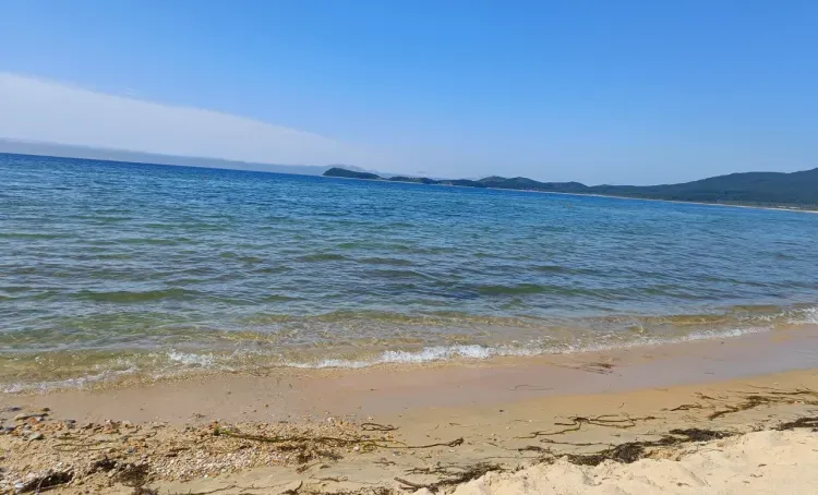 Несуществующие домики у моря сдают в аренду мошенники в Приморье