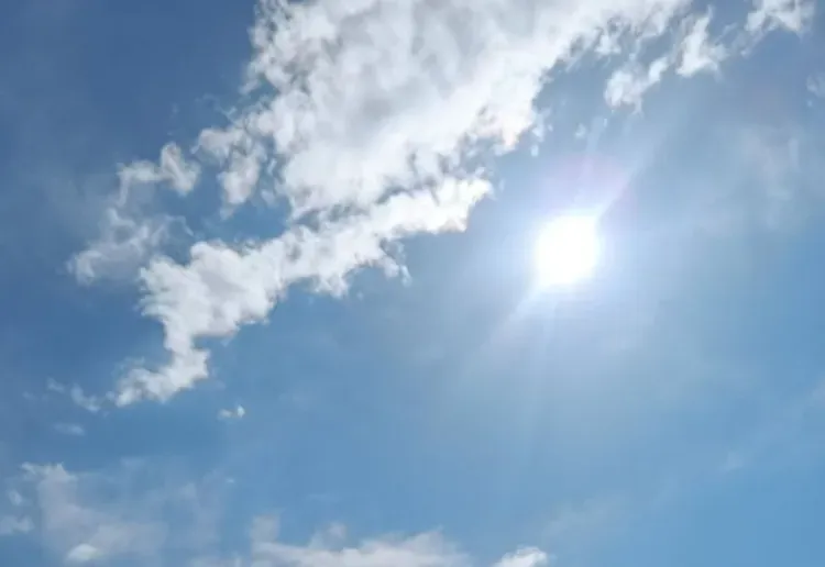 Петров день: «На святого Петра дождь - урожай худой, два дождя - хороший, три - богатый»