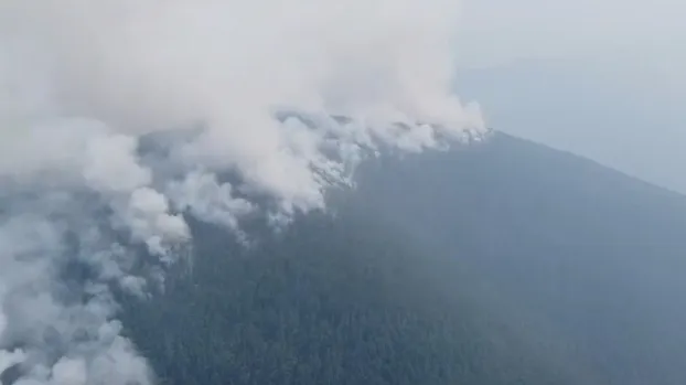 Природные пожары на севере Амурской области тушат более 470 человек