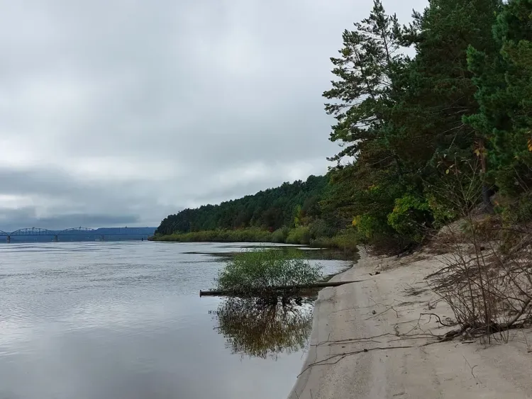 Днем в Амурской области 29 июля кратковременные дожди, местами сильные, грозы