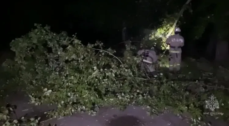 В Приволжье из-за непогоды погибли девять человек