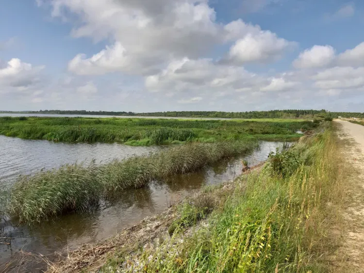 Днем в Амурской области 2 августа малооблачно, местами небольшие дожди, грозы