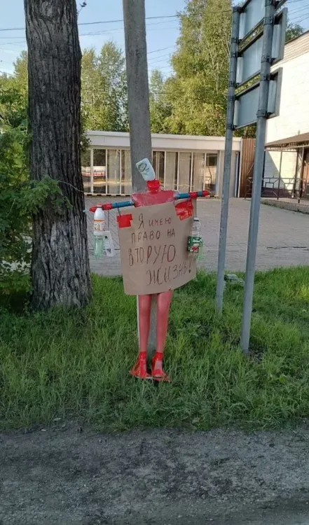 Пластиковый арт-объект в Зее привлек внимание к переработке мусора