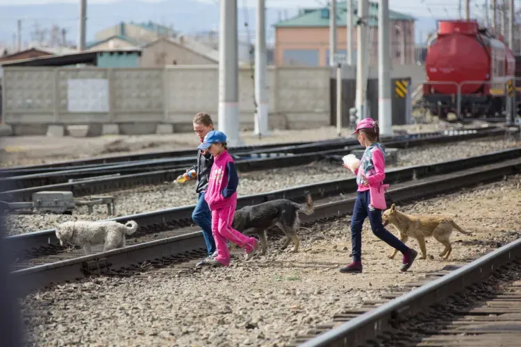ЗабЖД фиксирует увеличение непроизводственного травматизма на железнодорожной инфраструктуре с начала 2023 года