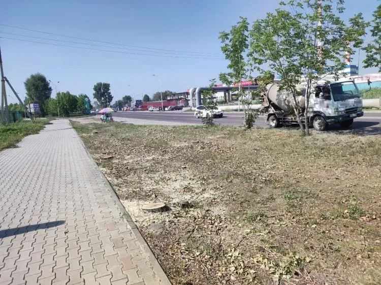 Иностранцы подозреваются в вырубке деревьев в микрорайоне Благовещенска