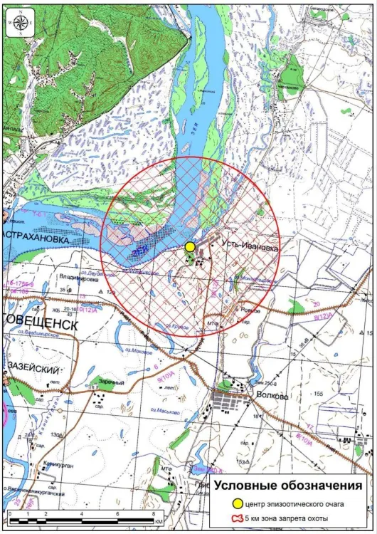 Охоту запретили в очагах АЧС, выявленных в Амурской области
