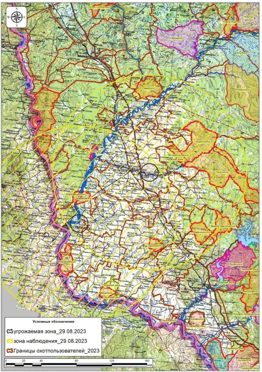 Охоту запретили в очагах АЧС, выявленных в Амурской области