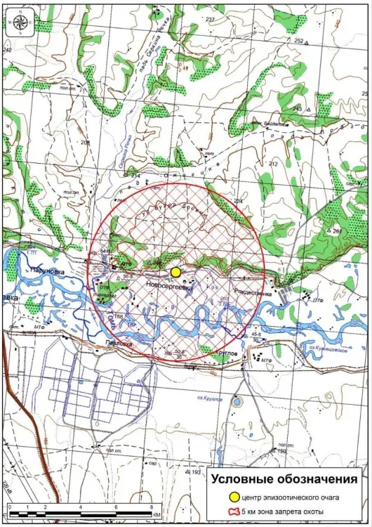 Охоту запретили в очагах АЧС, выявленных в Амурской области