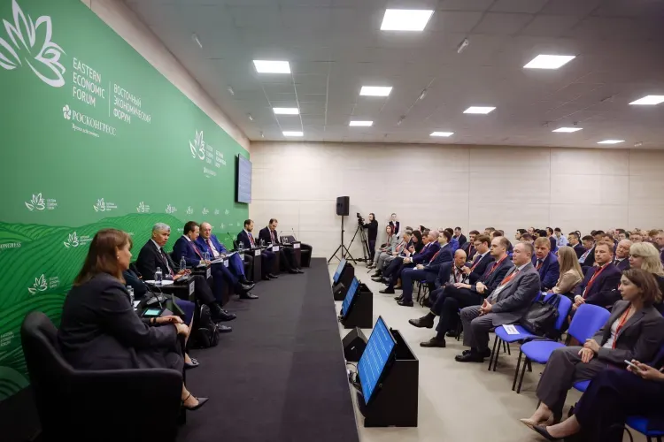 Производство шприцов, труб и упаковки может появиться в Амурской области