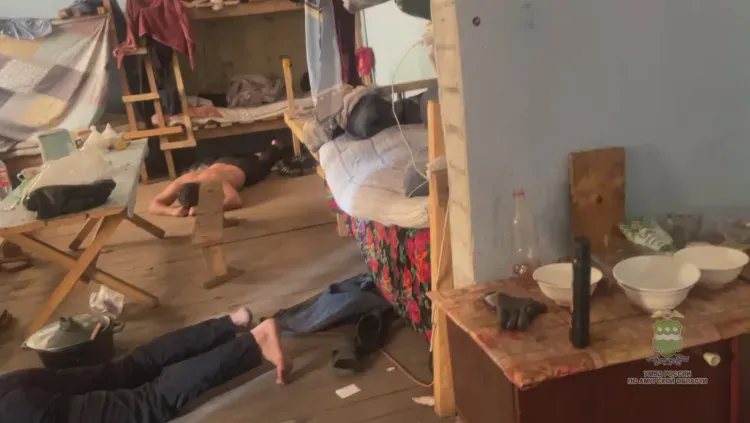 Мигранты-нелегалы собирали дикоросы в Амурской области