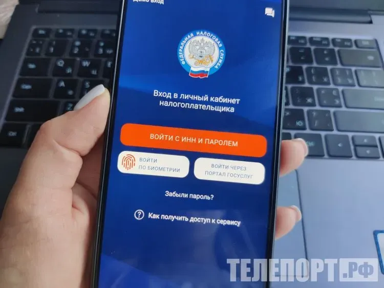 Три важных налога должны заплатить россияне до 1 декабря