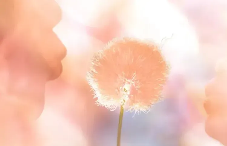 Теплый и уютный: объявлен главный цвет 2024 года