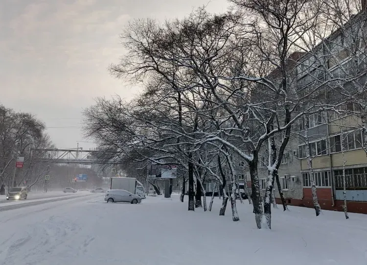 Переменная облачность в Амурской области 5 января