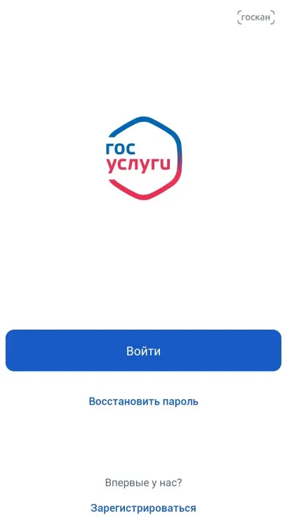 Мошенники взломали аккаунты амурчан в приложении "Госуслуги"