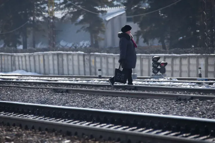 Машинисты поездов 79 раз применяли экстренное торможение для предотвращения наезда на людей на ЗабЖД в 2023 году