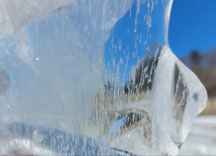 До -5 градусов потеплеет в Амурской области