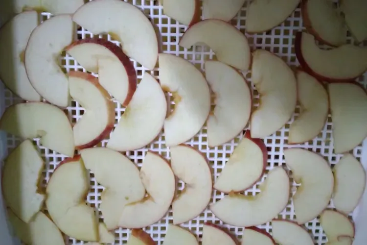 Яблоки для участников СВО сушат жители Мазановского района